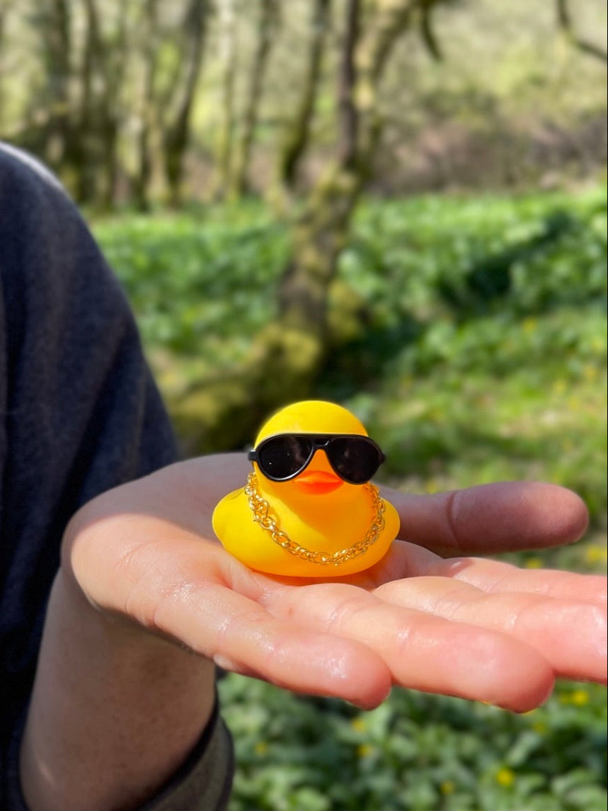 Yellow rubber duck wearing sunglasses and a necklace held in a hand with a blurred green outdoor background